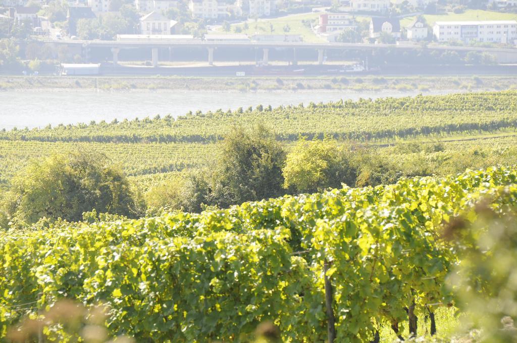 Landgasthof Germania ξενώνας Rüdesheim am Rhein Εξωτερικό φωτογραφία