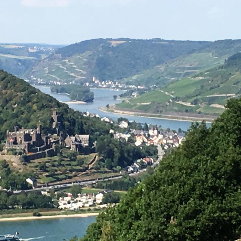 Landgasthof Germania ξενώνας Rüdesheim am Rhein Εξωτερικό φωτογραφία