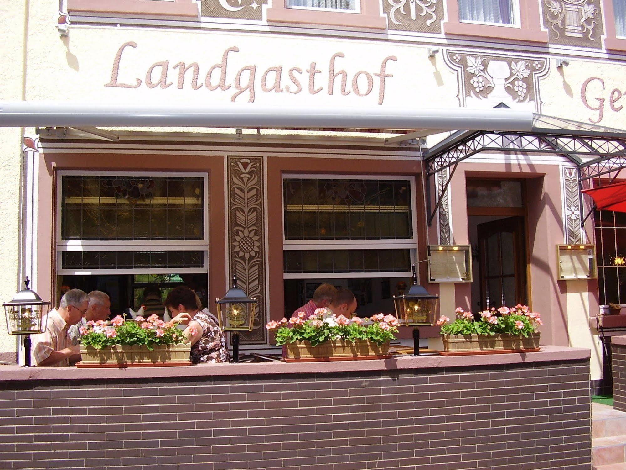 Landgasthof Germania ξενώνας Rüdesheim am Rhein Εξωτερικό φωτογραφία