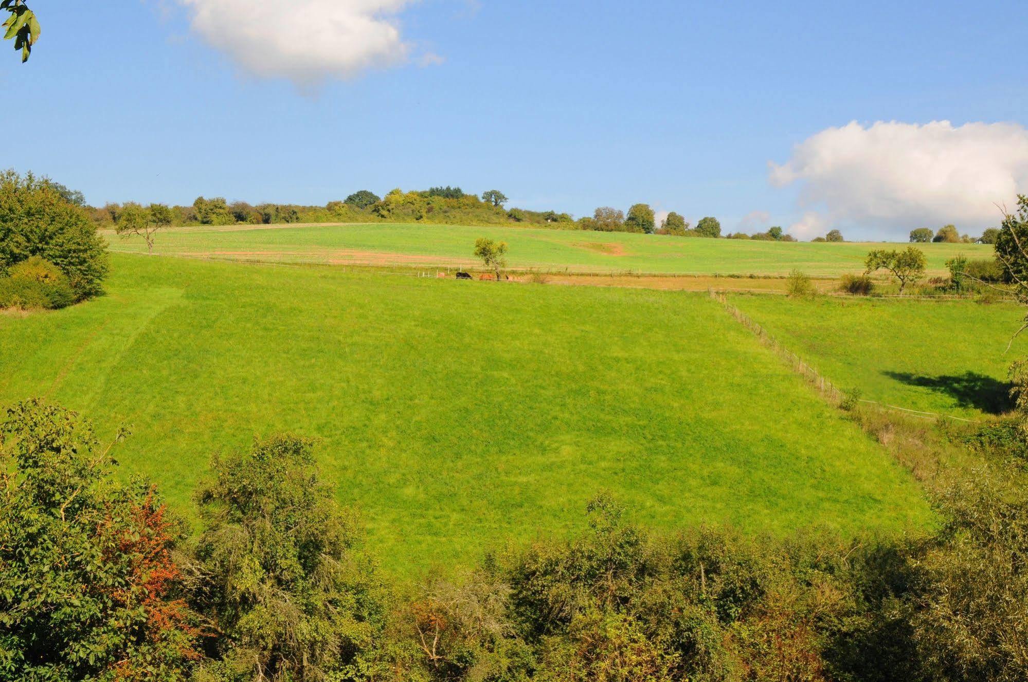 Landgasthof Germania ξενώνας Rüdesheim am Rhein Εξωτερικό φωτογραφία